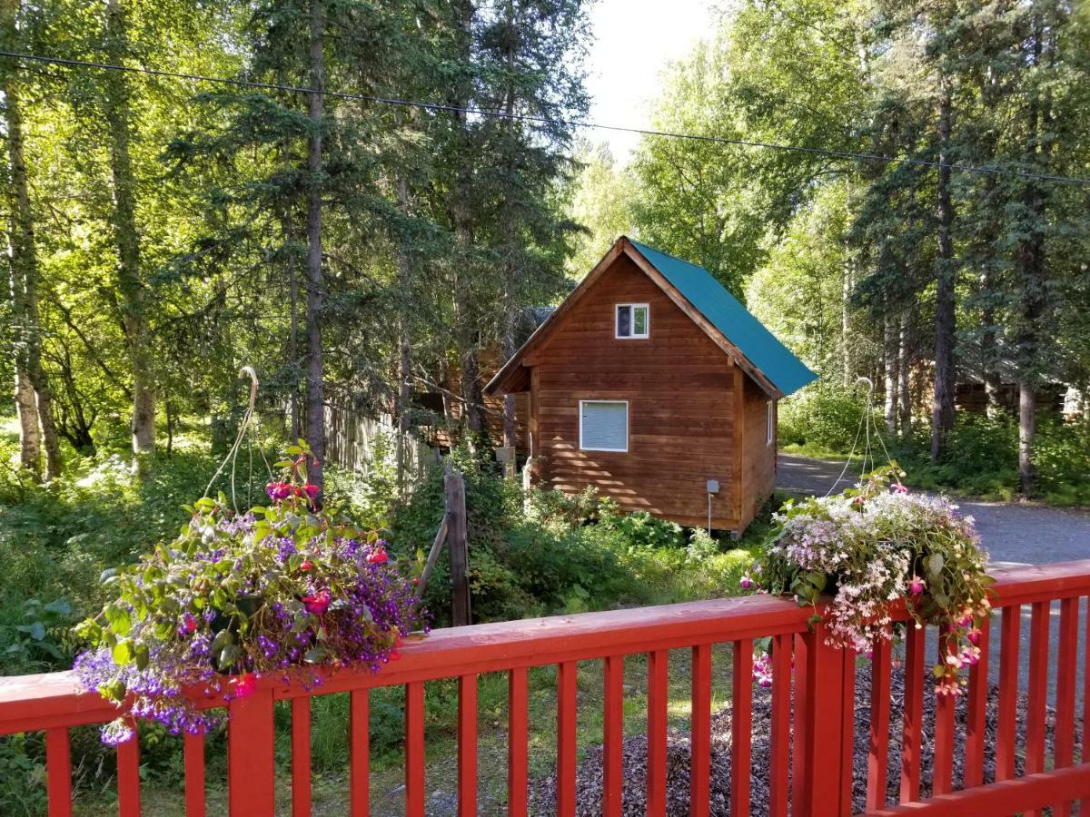 Talkeetna Hideaway Hotel Ngoại thất bức ảnh