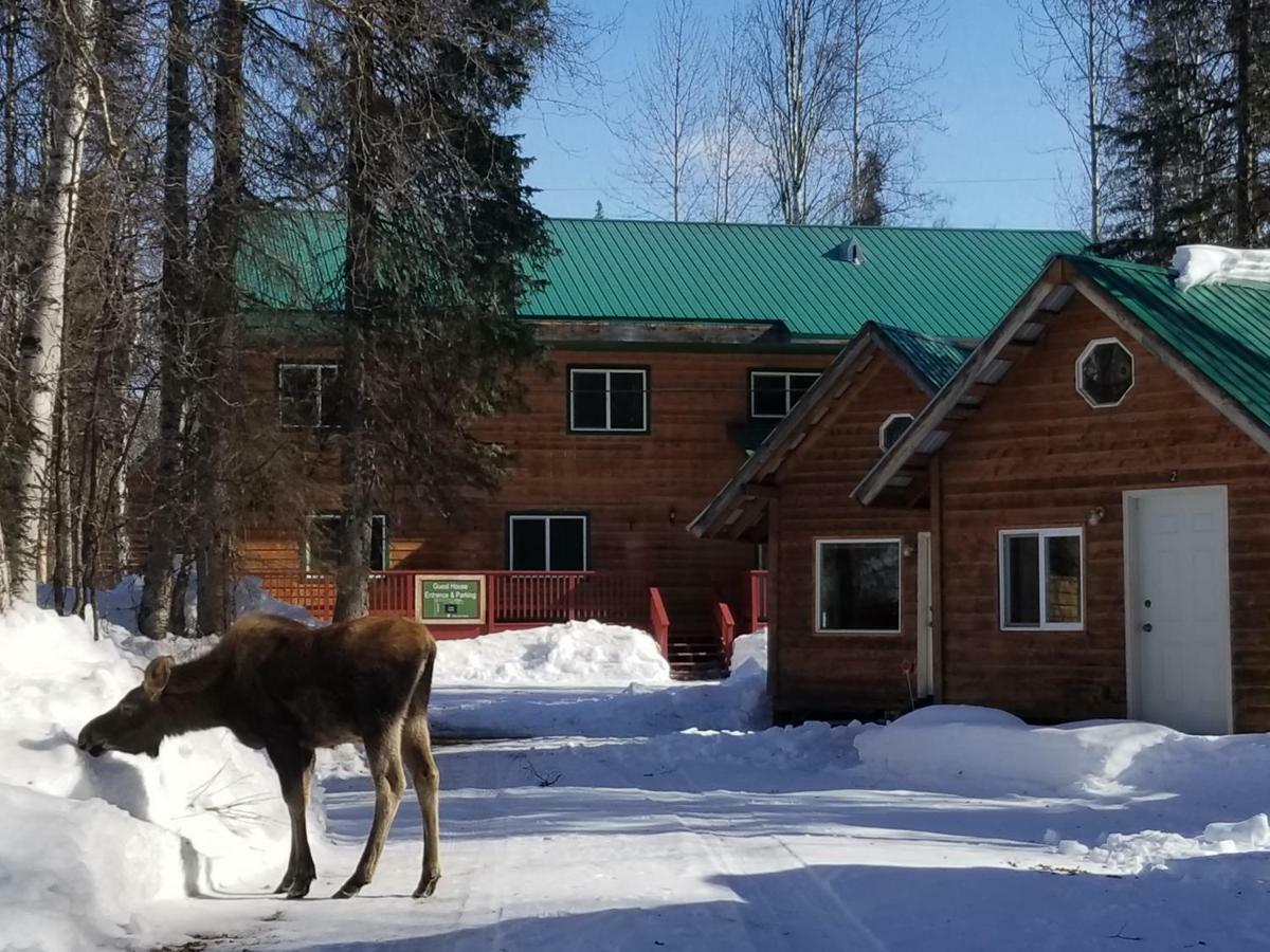 Talkeetna Hideaway Hotel Ngoại thất bức ảnh